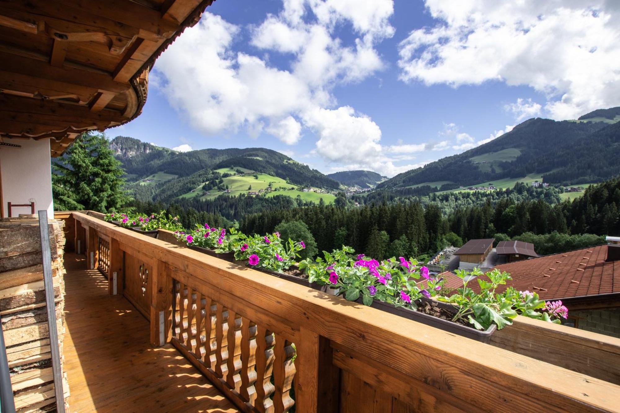 Gittis Ferienwohnung Panorama Wild31 Bernau  Экстерьер фото